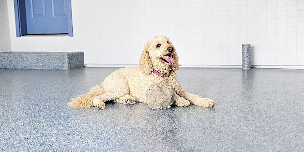 Epoxy Flooring for Pet Owners